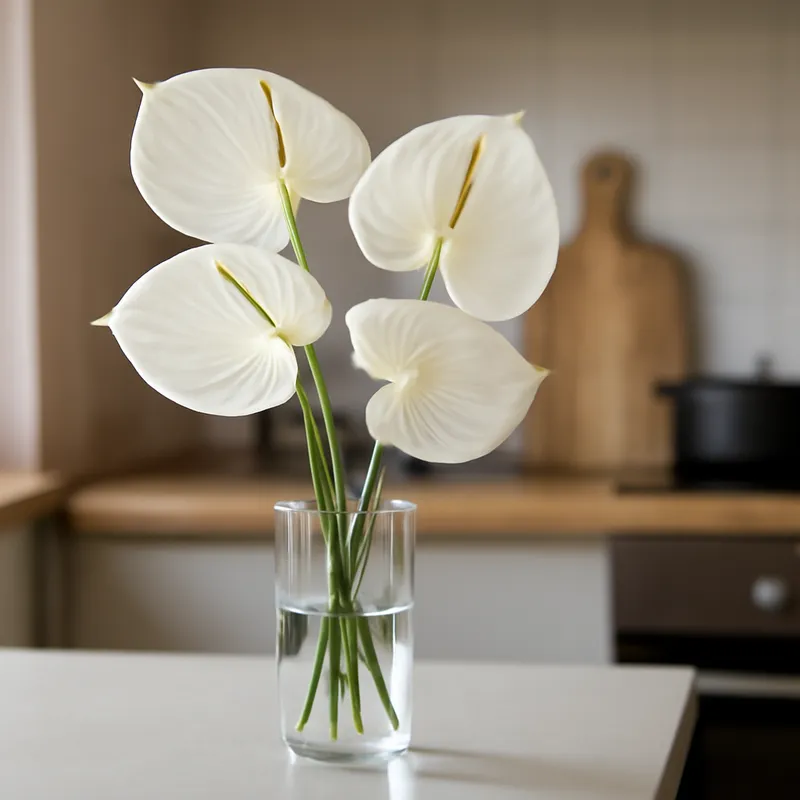 Anthurium (flamingoblomst) – hvid – billede 3