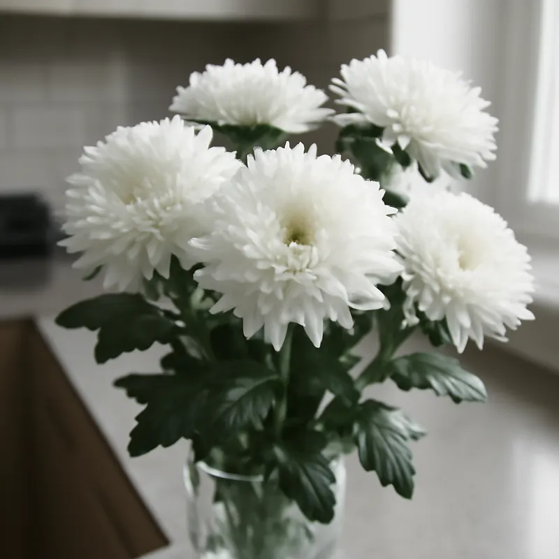 Aster – hvid – billede 3