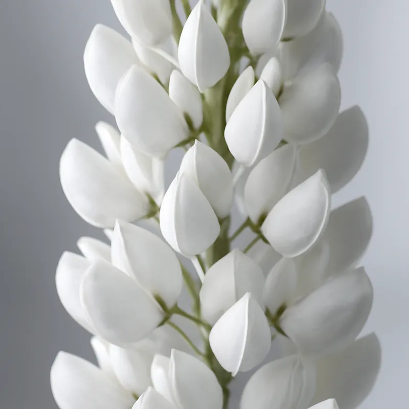 Lupin – hvid – billede 2
