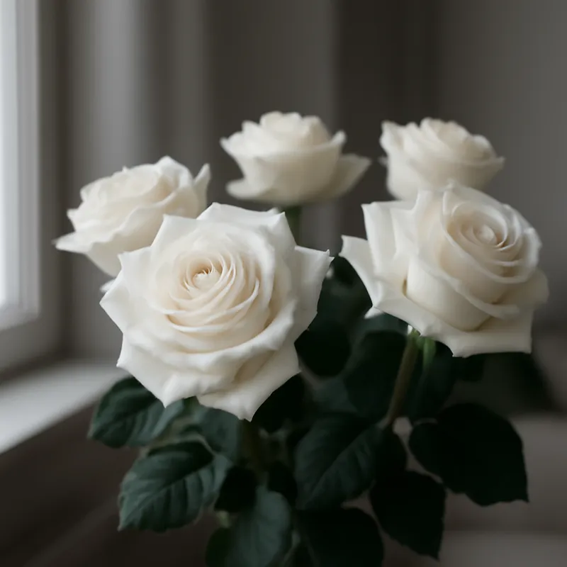 Rose – hvid – billede 3