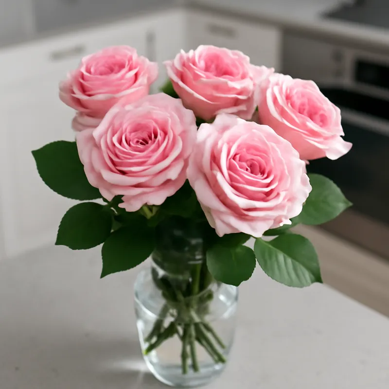 Rose – klassisk – billede 3