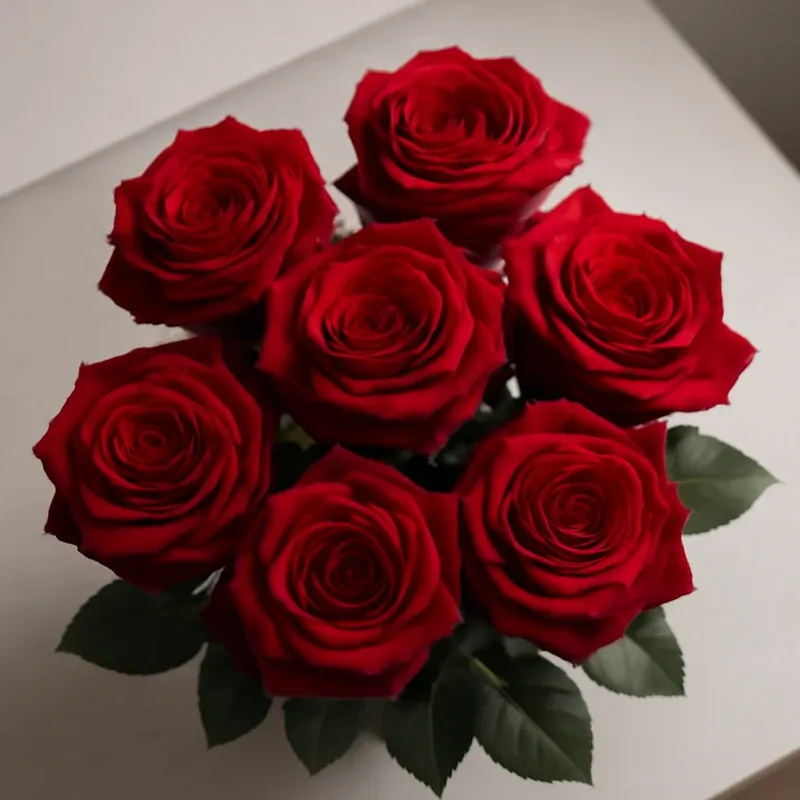 Rose – rød – billede 3