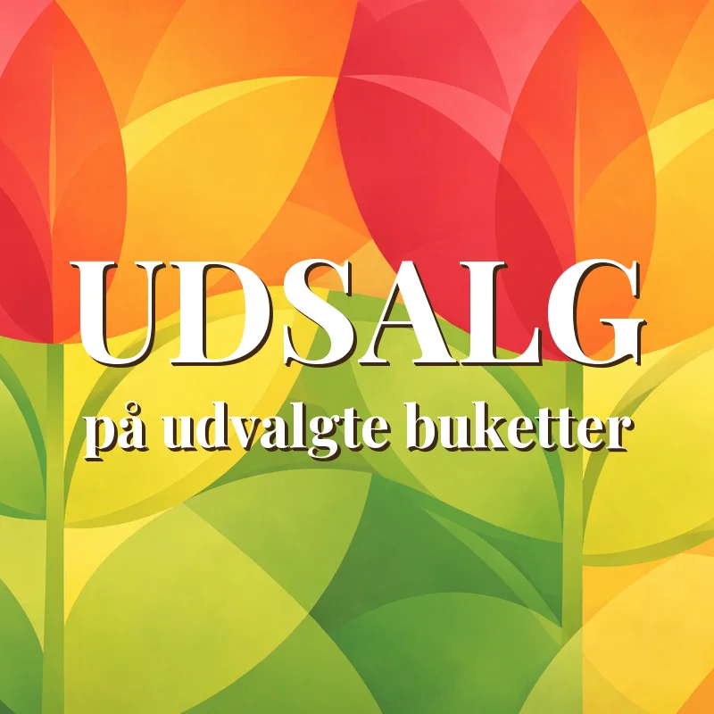 Udsalg på blomster – buketter til nedsat pris